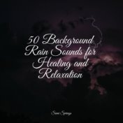 50 Background Rain Sounds for Healing and Relaxation