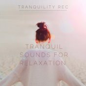 Tranquil Sounds for Relaxation