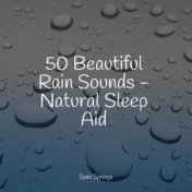 50 Beautiful Rain Sounds - Natural Sleep Aid