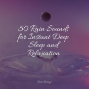 50 Rain Sounds for Instant Deep Sleep and Relaxation