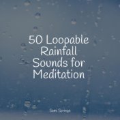 50 Loopable Rainfall Sounds for Meditation