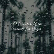 50 Winter Rain Sounds for Yoga