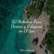 50 Melodías Para Dormir y Relajarse en El Spa