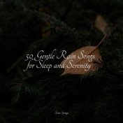 50 Gentle Rain Songs for Sleep and Serenity