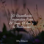 50 Recopilación Terapéutica Para El Yoga, El Zen y la Meditación