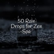 50 Rain Drops for Zen Spa