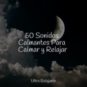 50 Sonidos Calmantes Para Calmar y Relajar