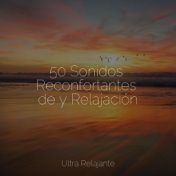 50 Sonidos Reconfortantes de y Relajación