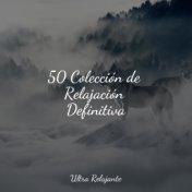 50 Colección de Relajación Definitiva