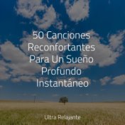 50 Canciones Reconfortantes Para Un Sueño Profundo Instantáneo