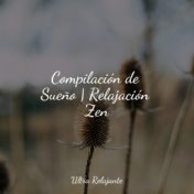 Compilación de Sueño | Relajación Zen