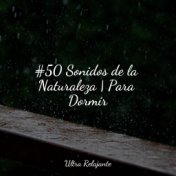 #50 Sonidos de la Naturaleza | Para Dormir
