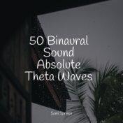 50 Binaural Sound Absolute Theta Waves