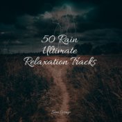50 Rain Ultimate Relaxation Tracks