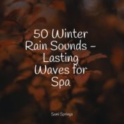 50 Winter Rain Sounds - Lasting Waves for Spa