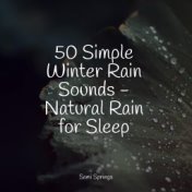 50 Simple Winter Rain Sounds - Natural Rain for Sleep