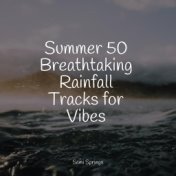 Summer 50 Breathtaking Rainfall Tracks for Vibes