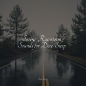 Serene Rainstorm Sounds for Deep Sleep