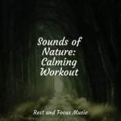 Sounds of Nature: Calming Workout