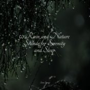 50 Rain and Nature Sounds for Serenity and Sleep