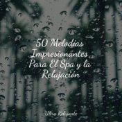 50 Melodías Impresionantes Para El Spa y la Relajación