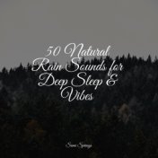 50 Natural Rain Sounds for Deep Sleep & Vibes