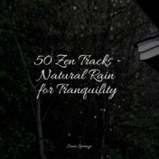 50 Zen Tracks - Natural Rain for Tranquility