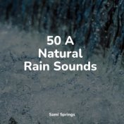 50 A Natural Rain Sounds