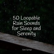 50 Calming Rain Sounds for Sleep and Relaxation