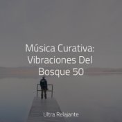 Música Curativa: Vibraciones Del Bosque 50