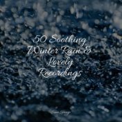 50 Soothing Winter Rain & Lovely Recordings