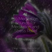 50 Meditation Sounds for Meditation and Stress Relief