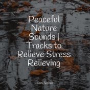 Peaceful Nature Sounds | Tracks to Relieve Stress Relieving