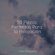 50 Piezas Perfectas Para la Relajación