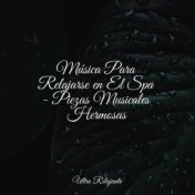 Música Para Relajarse en El Spa - Piezas Musicales Hermosas