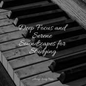 Deep Focus and Serene Soundscapes for Studying