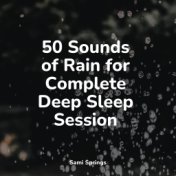 50 Sounds of Rain for Complete Deep Sleep Session