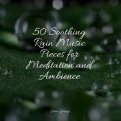 50 Soothing Rain Music Pieces for Meditation and Ambience