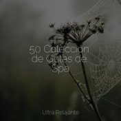 50 Colección de Gotas de Spa
