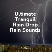 Ultimate Tranquil Rain Drop Rain Sounds