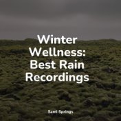 Winter Wellness: Best Rain Recordings