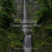 35 Soothing Deep Sleep Mol Tracks
