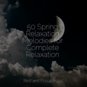 50 Spring Relaxation Melodies for Complete Relaxation
