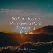 50 Sonidos de Primavera Para Masaje y Pilates