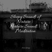 Sleepy Sounds of Nature | Nature Sounds | Meditation