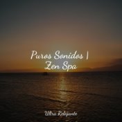 Puros Sonidos | Zen Spa