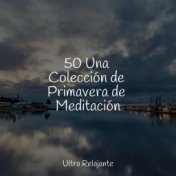 50 Una Colección de Primavera de Meditación