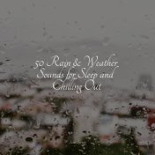 50 Rain & Weather Sounds for Sleep and Chilling Out