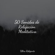 50 Sonidos de Relajación Meditativa