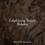 Enlightening Nature Melodies